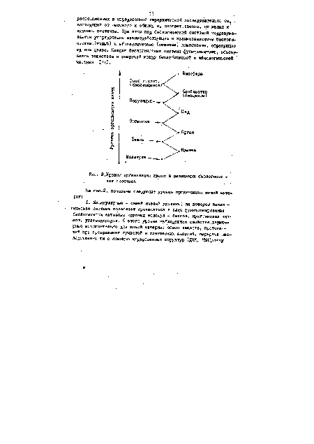 Уровни организации жизни в различных биологичес ких системах