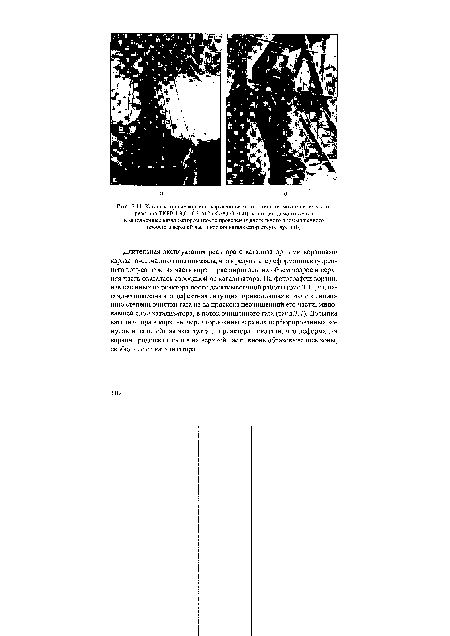 Катализаторные корзины каркасно-сетчатого типа термокаталитического реактора ТКРВ-Т-3,0-10,3-512-(К7-8,6/30000) на стадии демонтажа (а) и заполненные катализатором (после проведения длительного промышленного пробега в верхней части корзин катализатор отсутствует) (б)