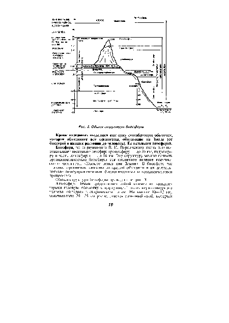 Общая структура биосферы
