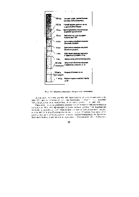 Шкала степени облучения человека