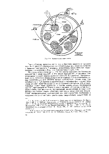 Экологические компоненты