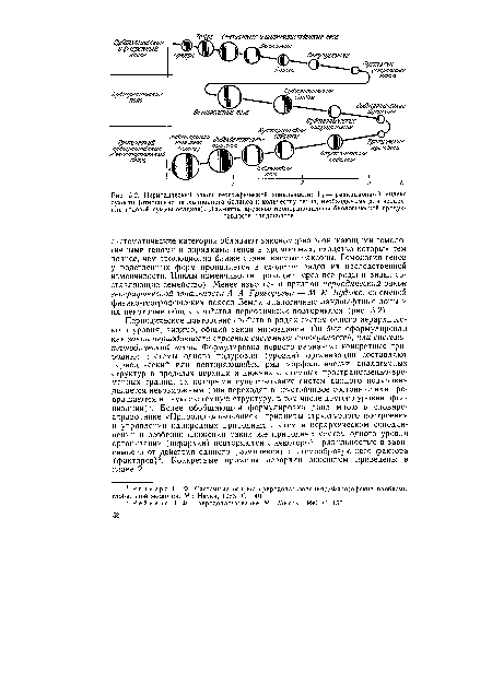 Периодический закон географической зональности