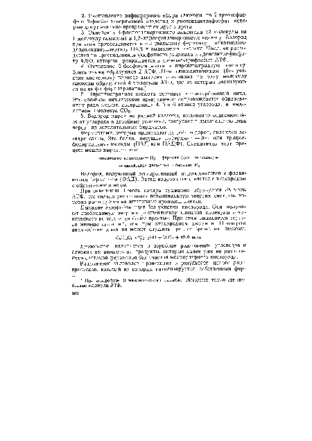 Водород, полученный дегидрогеназой, присоединяется к флави-новым ферментам (ФАД). Затем водород соединяется с кислородом с образованием воды.