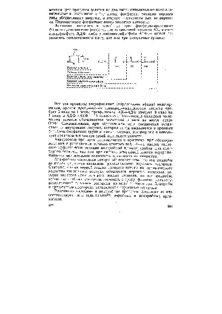 Анаэробные процессы используются в практике при обеззараживании и разложении осадков сточных вод. Из-за малого теплового эффекта этой реакции анаэробный процесс удобен для сани тарной техники, так как при синтезе микробной клетки перерабатывается значительное количество органического вещества.