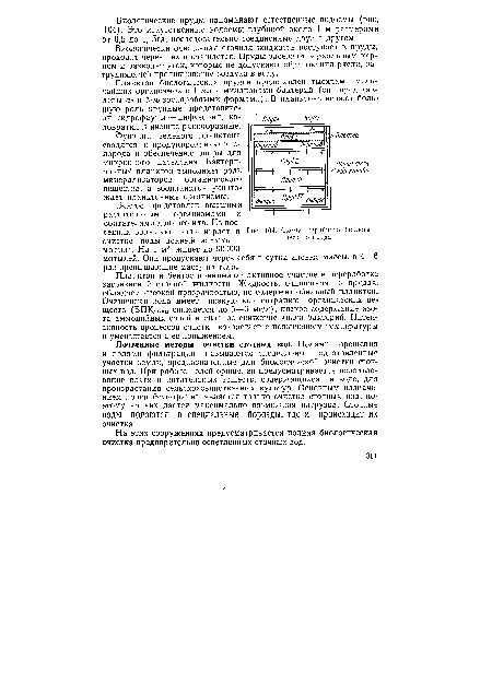 Функции зеленого планктона сводятся к продуцированию кислорода и обеспечению опоры для микробного населения. Бактериальный планктон выполняет роль минерализаторов органического вещества, а зоопланктон уничтожает планктонные организмы.