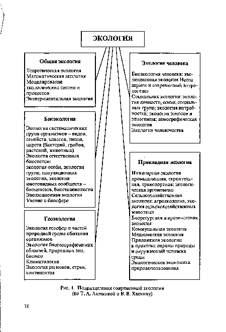 Подразделения современной экологии (по Т. А. Акимовой и В. В. Хаскину)