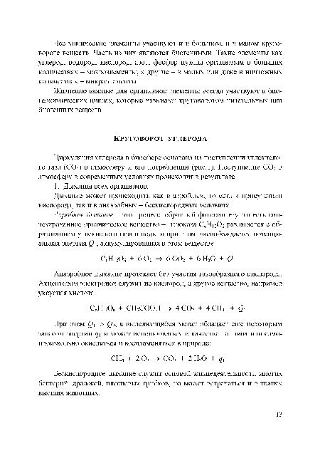 Жизненно важные для организмов элементы всегда участвуют в био-геохимических циклах, которые называют круговоротом питательных или биогенных веществ.