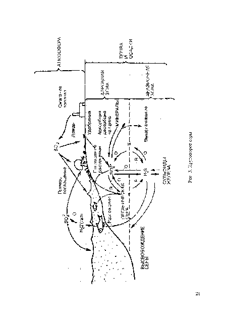 Круговорот серы