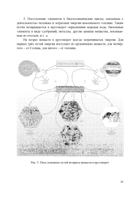 Пять основных путей возврата веществ в круговорот