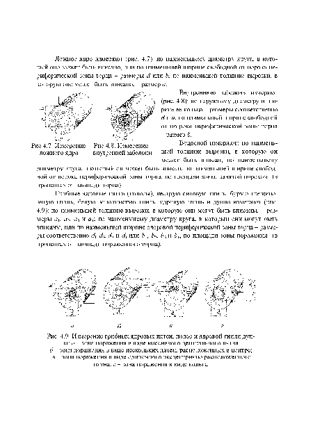 Измерение грибных ядровых пятен, полос и ядровой гнили дупла
