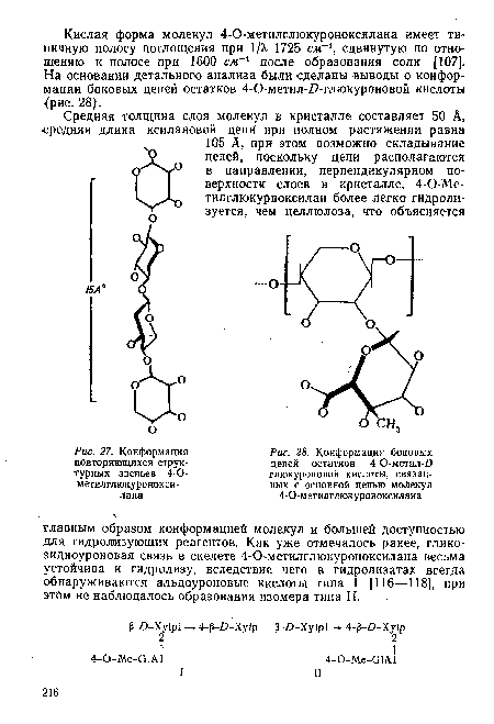 Конформация боковых цепей остатков 4-О-метил-О глюкуроновой кислоты, связанных с основной цепью молекул 4-О-метилглюкуроноксилана