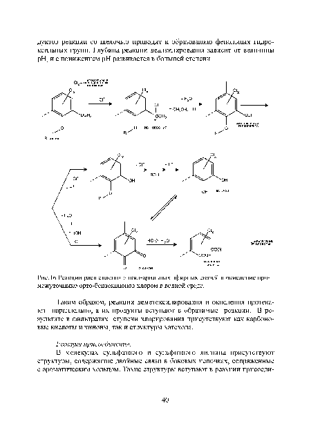 Реакции расщепления алкил-арильных эфирных связей и окисление про-межуточныхо орто-бензохинонов хлором в водной среде.