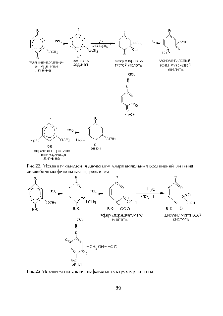 Механизм окисления нефенольных структур лигнина