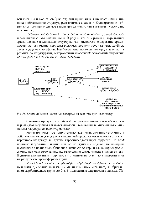 Схема действия пероксида водорода на техническую целлюлозу