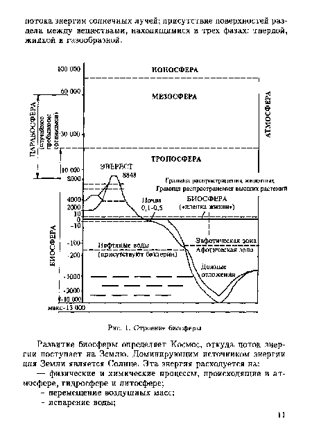 Строение биосферы