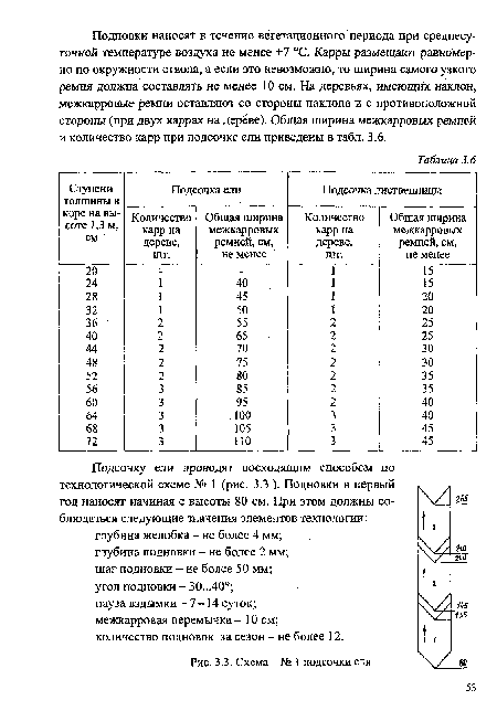 Схемы подсочки сосны