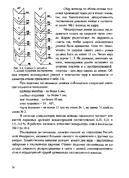 Схемы 3-летней и 5-летней подсочки лиственницы