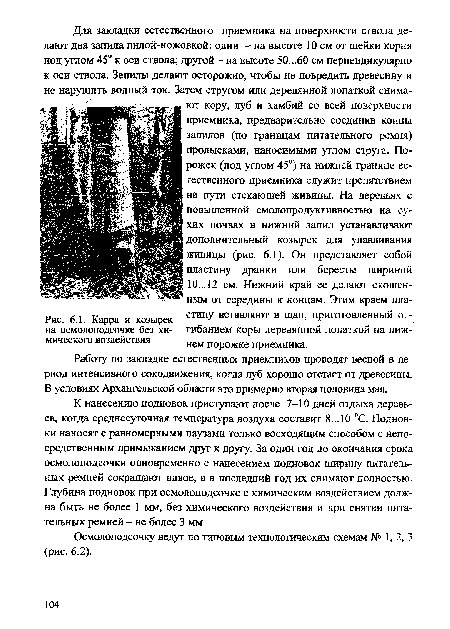 Карра и козырек на осмолоподсочке без химического воздействия