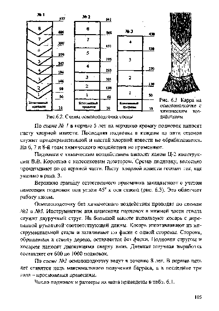 Схемы осмолоподсочки сосны	действием