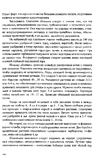 Посадку облепихи проводят весной, до распускания почек у сеянцев или саженцев. Корневую систему посадочного материала не укорачивают, чтобы сохранить ее мочковатость. Перед посадкой почву культивируют и прикатывают легкими катками. Для посадки 3-летних сеянцев готовят ямы или борозды глубиной 40...50 см. Размещают растения по схемам 4x2,5 или 4x4 м, что обеспечивает достаточную освещенность рядов и позволяет применять механизмы для уходов за культурами. Мужские особи высаживают в каждом третьем ряду через 3-4 женских экземпляра. Корневую шейку заглубляют на 10... 15 см. Проводят обильный послепосадочный полив.