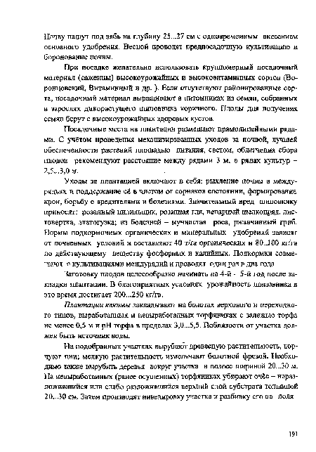 При посадке желательно использовать крупномерный посадочный материал (саженцы) высокоурожайных и высоковитаминных сортов (Во-ронцовский, Витаминный и др. ). Если отсутствуют районированные сорта, посадочный материал выращивают в питомниках из семян, собранных в зарослях дикорастущего шиповника коричного. Плоды для получения семян берут с высокоурожайных здоровых кустов.