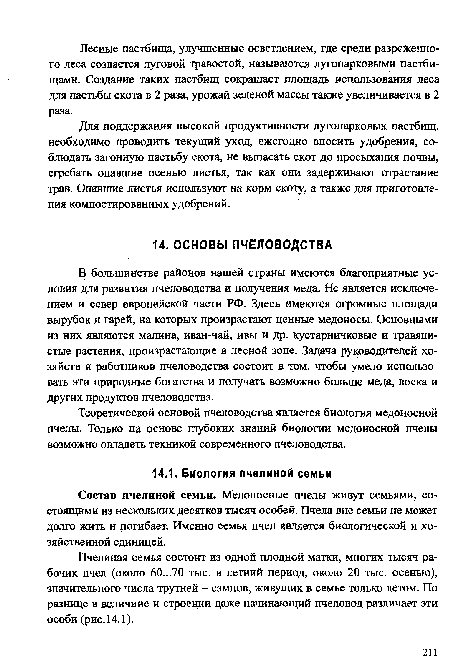 Пчелиная семья состоит из одной плодной матки, многих тысяч рабочих пчел (около 60...70 тыс. в летний период, около 20 тыс. осенью), значительного числа трутней - самцов, живущих в семье только летом. По разнице в величине и строении даже начинающий пчеловод различает эти особи (рис. 14.1).