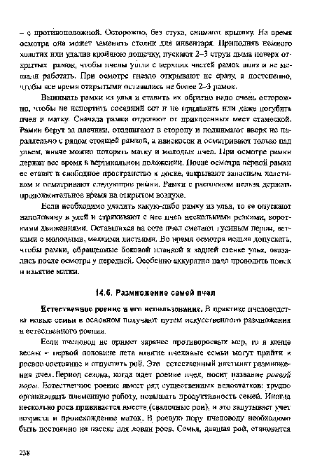 Естественное роение и его использование. В практике пчеловодства новые семьи в основном получают путем искусственного размножения и естественного роения.