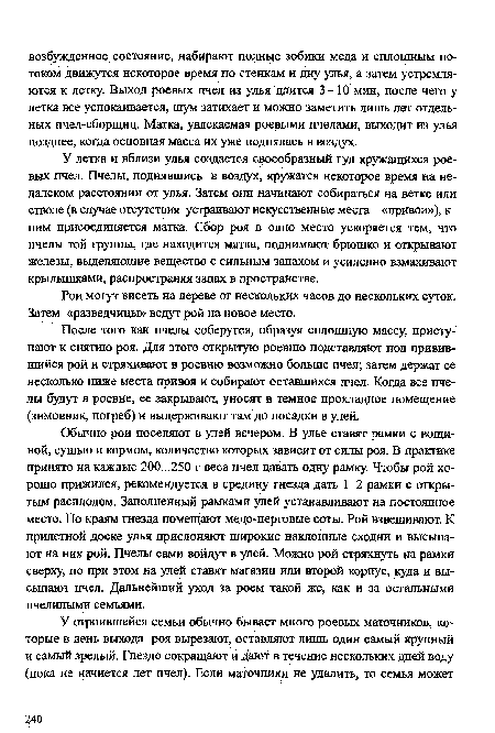 После того как пчелы соберутся, образуя сплошную массу, приступают к снятию роя. Для этого открытую роевню подставляют под привившийся рой и стряхивают в роевню возможно больше пчел; затем держат ее несколько ниже места привоя и собирают оставшихся пчел. Когда все пчелы будут в роевне, ее закрывают, уносят в темное прохладное помещение (зимовник, погреб) и выдерживают там до посадки в улей.