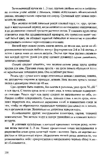 При весенне-летней заготовке режут соковый прут, т.е. прут, срезанный в вегетационный период, когда начинается интенсивное сокодвижение, и до достижения половой зрелости растения летом. У сокового прута легко отделяется кора без предварительной пропарки, его древесина имеет чистый белый цвет, он обладает хорошей гибкостью и вязкостью и способен выдерживать сложные переплетения в изделиях.