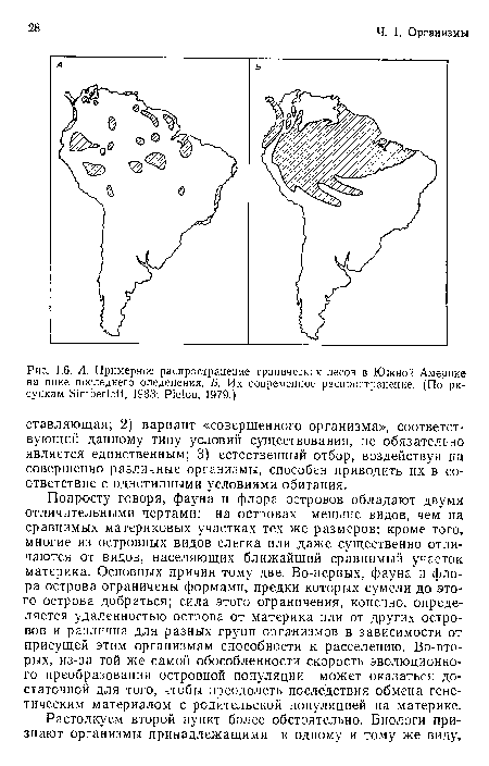 А. Примерное распространение тропических лесов в Южной Америке на пике последнего оледенения. Б. Их современное распространение. (По рисункам ЭтЬеНо!^ 1983; Р1е1ои, 1979.)