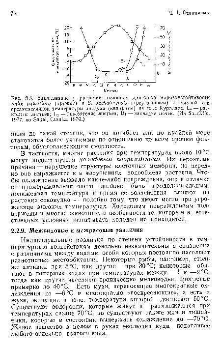 Закаливание у растений