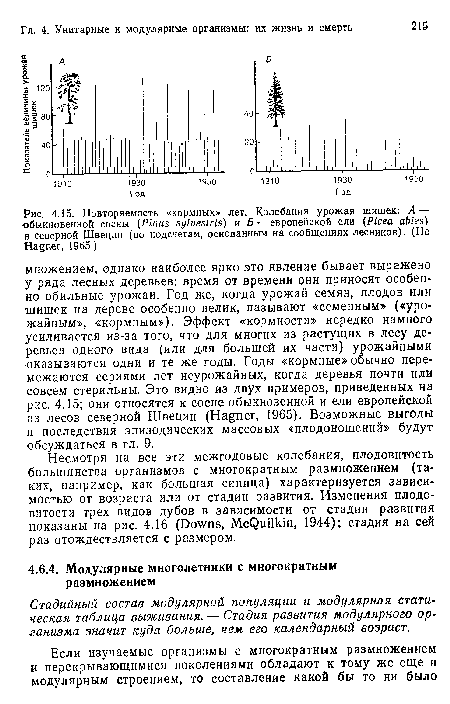 Повторяемость «кормных» лет. Колебания урожая шишек