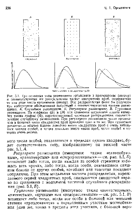 Три основных типа размещения организмов в пространстве (вверху) и соответствующие им распределения частот квадратных проб, содержащих то или иное число организмов (внизу). Эти распределения были бы получены при выборочном обследовании популяций с соответствующими типами размещения. А. Случайное размещение. Б. Регулярное размещение. В. Групповое размещение. На графиках (Б) и (В) для сравнения штриховой линией вычерчен также график (Л), характеризующий частотное распределение, соответствующее случайному размещению. При регулярном размещении число организмов в большей части квадратных проб примерно одно и то же. При групповом размещении обычно бывает довольно много квадратных проб с очень небольшим числом особей, а также довольно много таких проб, число особей в которых очень велико.