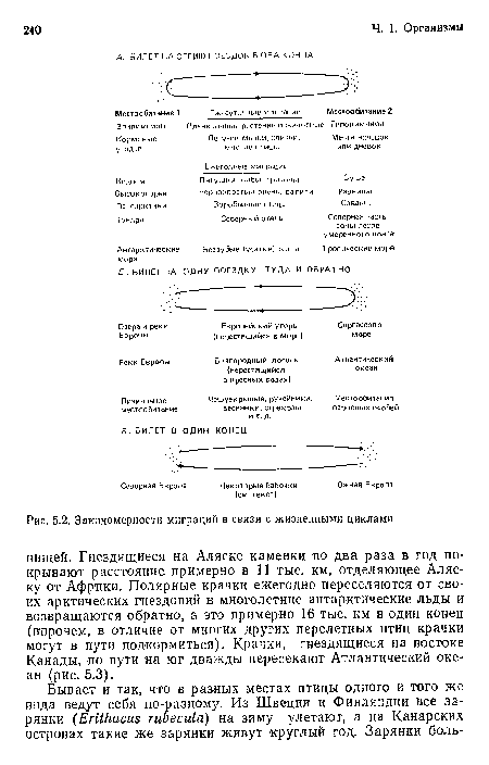 Закономерности миграций в связи с жизненными циклами