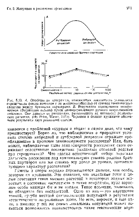 А. Обобщенная диаграмма, поясняющая зависимость успешности скрещивания (числа потомков и их жизнеспособности) от степени генетического сходства между брачными партнерами. Б. Результаты скрещивания дельфиниумов (Delphinium nelsoni) путем целенаправленного ручного искусственного опыления. Они зависят от расстояния, разделявшего на местности родительские растения. (Из Price, Waser, 1979). Черными и белыми кружками обозначены результаты двух различных опытов.