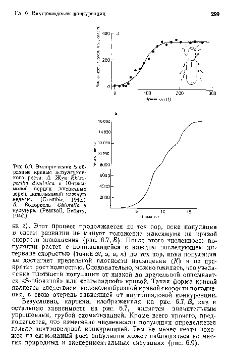 Безусловно, картина, изображенная на рис. 6.7, В, как и остальные зависимости на рис. 6.7, является значительным упрощением, грубой схематизацией. Кроме всего прочего, предполагается, что изменение численности популяции определяется только внутривидовой конкуренцией. Тем не менее нечто похожее на сигмоидный рост популяции может наблюдаться во многих природных и экспериментальных ситуациях (рис. 6.9).