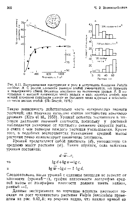 Следовательно, когда урожай с единицы площади не зависит от плотности (урожай = с), график зависимости логарифма средней массы от логарифма плотности должен иметь наклон, равный —1.