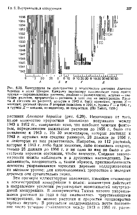 Конкуренция за пространство у многолетнего растения Anemone hepatica в лесах Швеции. Каждому экземпляру соответствует одна линия