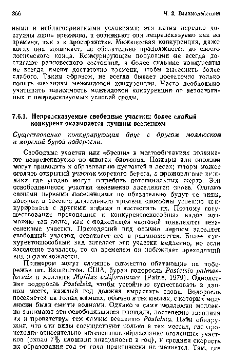 Существование конкурирующих друг с другом моллюсков и морской бурой водоросли.