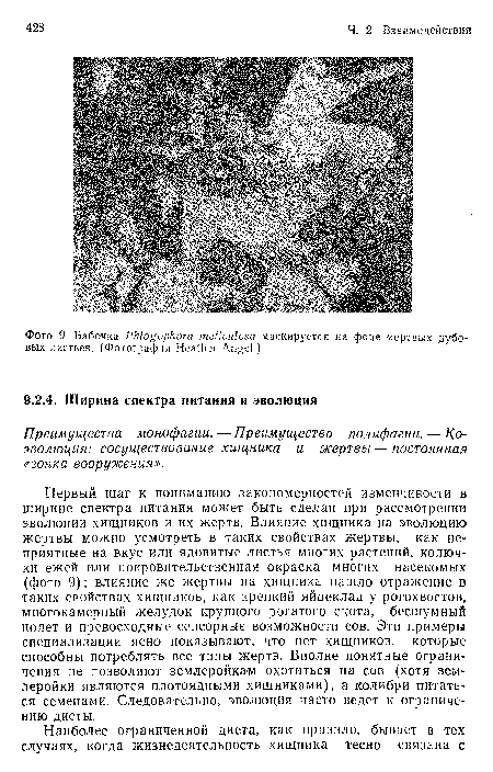 Первый шаг к пониманию закономерностей изменчивости в ширине спектра питания может быть сделан при рассмотрении эволюции хищников и их жертв. Влияние хищника на эволюцию жертвы можно усмотреть в таких свойствах жертвы, как неприятные на вкус или ядовитые листья многих растений, колючки ежей или покровительственная окраска многих насекомых (фото 9); влияние же жертвы на хищника нашло отражение в таких свойствах хищников, как крепкий яйцеклад у рогохвостов, многокамерный желудок крупного рогатого скота, бесшумный полет и превосходные сенсорные возможности сов. Эти примеры специализации ясно показывают, что нет хищников, которые способны потреблять все типы жертв. Вполне понятные ограничения не позволяют землеройкам охотиться на сов (хотя землеройки являются плотоядными хищниками), а колибри питаться семенами. Следовательно, эволюция часто ведет к ограничению диеты.