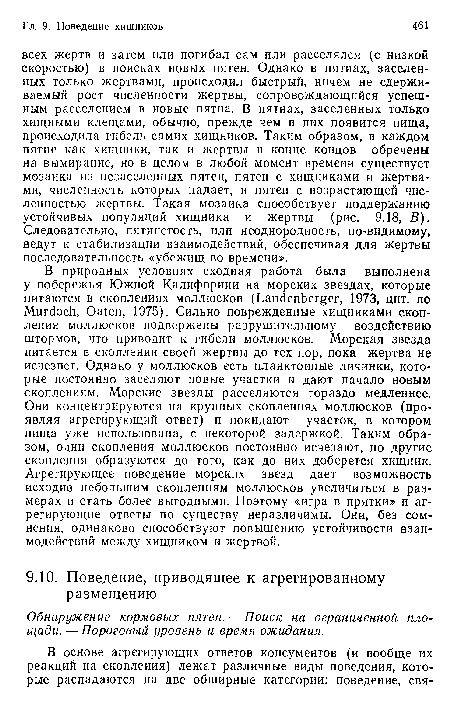 В природных условиях сходная работа была выполнена у побережья Южной Калифорнии на морских звездах, которые питаются в скоплениях моллюсков (Landenberger, 1973, цит. по Murdoch, Oaten, 1Э75). Сильно поврежденные хищниками скопления моллюсков подвержены разрушительному воздействию штормов, что приводит к гибели моллюсков. Морская звезда питается в скоплении своей жертвы до тех пор, пока жертва не исчезнет. Однако у моллюсков есть планктонные личинки, которые постоянно заселяют новые участки и дают начало новым скоплениям. Морские звезды расселяются гораздо медленнее. Они концентрируются на крупных скоплениях моллюсков (проявляя агрегирующий ответ) и покидают участок, в котором пища уже использована, с некоторой задержкой. Таким образом, одни скопления моллюсков постоянно исчезают, но другие скопления образуются до того, как до них доберется хищник. Агрегирующее поведение морских звезд дает возможность исходно небольшим скоплениям моллюсков увеличиться в размерах и стать более выгодными. Поэтому «игра в прятки» и агрегирующие ответы по существу неразличимы. Они, без сомнения, одинаково способствуют повышению устойчивости взаимодействий между хищником и жертвой.