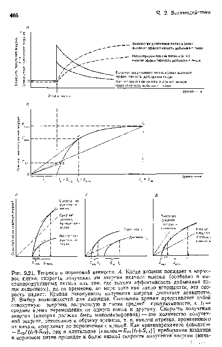 Теорема о пороговой ценности. А. Когда хищник попадает в кормовое пятно, скорость получения им энергии вначале высока (особенно в высокопродуктивных пятнах или там, где высока эффективность добывания пищи хищником), но со временем, по мере того как пятно истощается, эта скорость падает. Кривая совокупного получения энергии достигает асимптоты. Б. Выбор возможностей для хнщннка. Сплошная кривая представляет собой совокупную энергию, полученную в пятне средней продуктивности, & — среднее время перемещения от одного пятна к другому. Скорость получения энергии (которая должна быть максимизирована) — это количество полученной энергии, отнесенное к общему времени, т. е. наклон отрезка, проведеииого из начала координат до пересечения с кривой. Как кратковременное (наклои= =£’кр/(</+5кр), так и длительное [наклон=£,дл(^-Ь5дл)1 пребывания хищника в кормовом пятне приводят к более низкой скорости получения энергии (меиь-