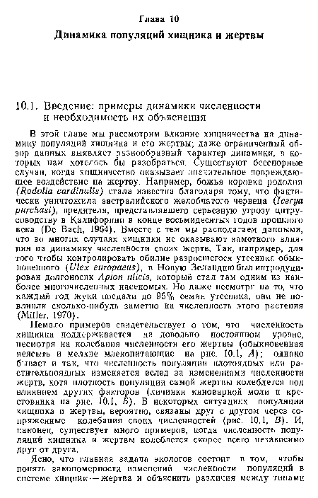 Немало примеров свидетельствует о том, что численность хищника поддерживается на довольно постоянном уровне, несмотря на колебания численности его жертвы (обыкновенная неясыть и мелкие млекопитающие на рис. 10.1, Л); однако бывает и так, что численность популяции плотоядных или растительноядных изменяется вслед за изменениями численности жертв, хотя плотность популяции самой жертвы колеблется под влиянием других факторов (личинки киноварной моли и крестовника на рис. 10.1, Б). В некоторых ситуациях популяции хищника и жертвы, вероятно, связаны друг с другом через сопряженные колебания своих численностей (рис. 10.1, В). И, наконец, существует много примеров, когда численность популяций хищника и жертвы колеблется скорее всего независимо друг от друга.