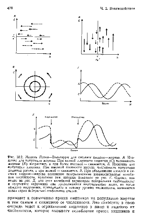 Модель Лотки—Вольтерры для системы хищник—жертва. А. Изоклина для популяции жертвы. При низкой плотности хищника (С) численность жертвы (М) возрастает, а при более высокой — снижается. Б. Изоклина для популяции хищника. При высокой плотности жертвы численность популяции хищника растет, а при низкой — снижается. В. При объединении изоклин в системе хищник—жертва возникают неограниченные взаимосвязанные колебания численности, подобные тем, которые показаны на рис. Г. Однако, как видно на рис. Д, для этих колебаний характерна нейтральная стабильность
