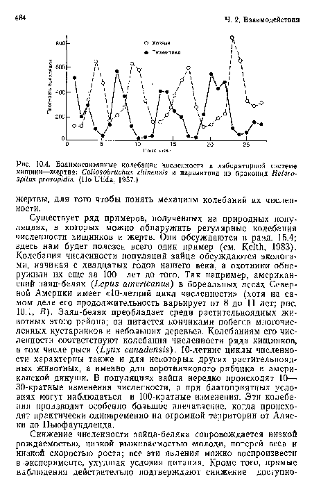 Существует ряд примеров, полученных на природных популяциях, в которых можно обнаружить регулярные колебания численности хищников и жертв. Они обсуждаются в разд. 15.4; здесь нам будет полезен всего один пример (см. Keith, 1983). Колебания численности популяций зайца обсуждаются экологами, начиная с двадцатых годов нашего века, а охотники обнаружили их еще за 100 лет до того. Так например, американский заяц-беляк (Lepus americanus) в бореальных лесах Северной Америки имеет «10-летний цикл численности» (хотя на самом деле его продолжительность варьирует от 8 до 11 лет; рис.