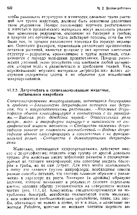 Специализированные микроорганизмы, питающиеся бактериями и грибами. — Большинство детритофагов питаются как детритом, так и микроскопическими растениями. ■— Наземных детритофагов обычно классифицируют в соответствии с их размерами.— Важная роль дождевых червей. — Относительная роль микро-, мезо- и макрофауны варьирует в зависимости от географической широты местности. — Сообщества наземных детритофагов зависят от влажности местообитаний. — Водных детритофагов обычно классифицируют в соответствии с их функциональной ролью. — Сообщества с доминирующими детритофагами.