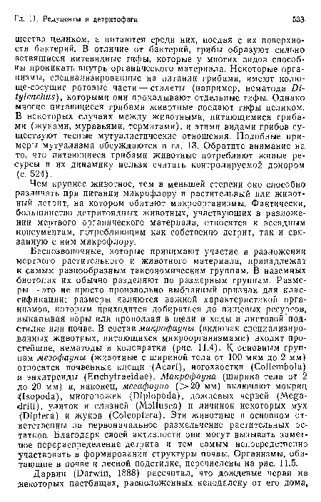 Чем крупнее животное, тем в меньшей степени оно способно различать при питании микрофлору и растительный или животный детрит, на котором обитают микроорганизмы. Фактически, большинство детритоядных животных, участвующих в разложении мертвого органического материала, относятся к всеядным консументам, потребляющим как собственно детрит, так и связанную с ним микрофлору.