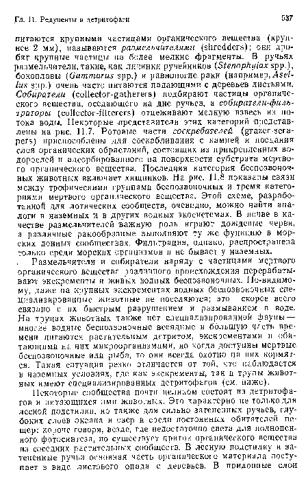 Размельчители и собиратели наряду с частицами мертвого органического вещества различного происхождения перерабатывают экскременты и живых водных беспозвоночных. По-видимому, даже на крупных экскрементах водных беспозвоночных специализированные животные не поселяются; это скорее всего связано с их быстрым разрушением и размыванием в воде. На трупах животных также нет специализированной фауны — многие водные беспозвоночные всеядные и большую часть времени питаются растительным детритом, экскрементами и обитающими на них микроорганизмами, но когда доступны мертвые беспозвоночные или рыба, то они всегда охотно на них кормятся. Такая ситуация резко отличается от той, что наблюдается в наземных условиях, где как экскременты, так и трупы животных имеют специализированных детритофагов (см. ниже).