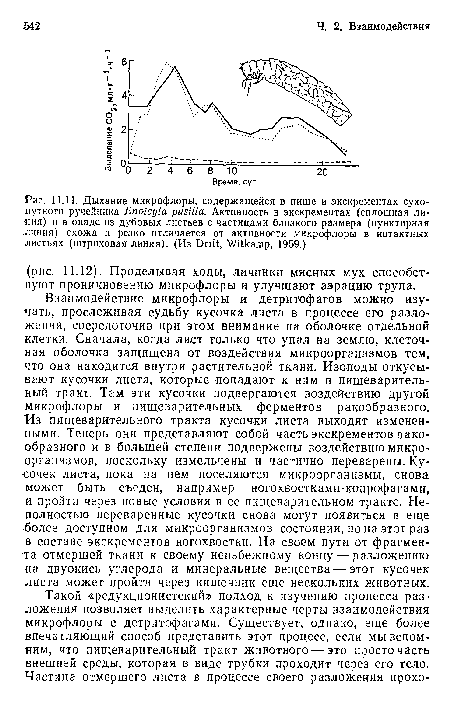 Взаимодействие микрофлоры и детритофагов можно изучать, прослеживая судьбу кусочка листа в процессе его разложения, сосредоточив при этом внимание на оболочке отдельной клетки. Сначала, когда лист только что упал на землю, клеточная оболочка защищена от воздействия микроорганизмов тем, что она находится внутри растительной ткани. Изоподы откусывают кусочки листа, которые попадают к ним в пищеварительный тракт. Там эти кусочки подвергаются воздействию другой микрофлоры и пищеварительных ферментов ракообразного. Из пищеварительного тракта кусочки листа выходят измененными. Теперь они представляют собой часть экскрементов ракообразного и в большей степени подвержены воздействию микроорганизмов, поскольку измельчены и частично переварены. Кусочек листа, пока на нем поселяются микроорганизмы, снова может быть съеден, например ногохвостками-копрофагами, и пройти через новые условия в ее пищеварительном тракте. Неполностью переваренные кусочки снова могут появиться в еще •более доступном для микроорганизмов состоянии, но на этот раз в составе экскрементов ногохвостки. На своем пути от фрагмента отмершей ткани к своему неизбежному концу — разложению на двуокись углерода и минеральные вещества — этот кусочек листа может пройти через кишечник еще нескольких животных.