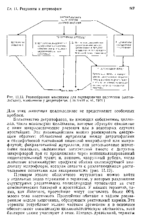 Для этих животных целлюлолизис не представляет особенных проблем.